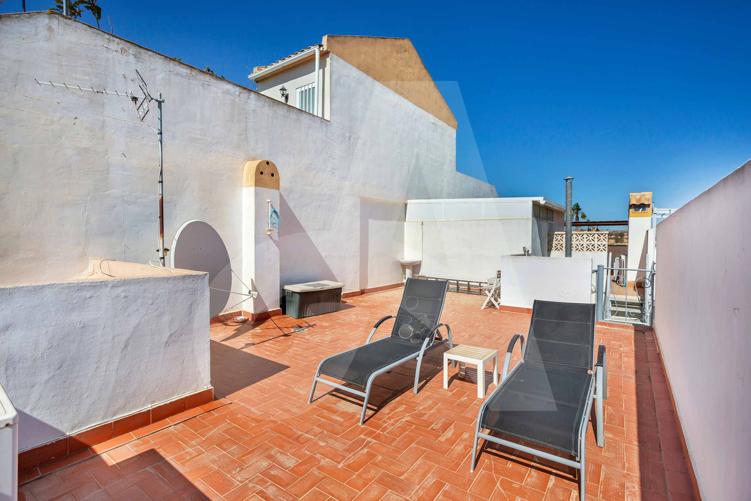 Gedeeld zwembad omringd door palmbomen