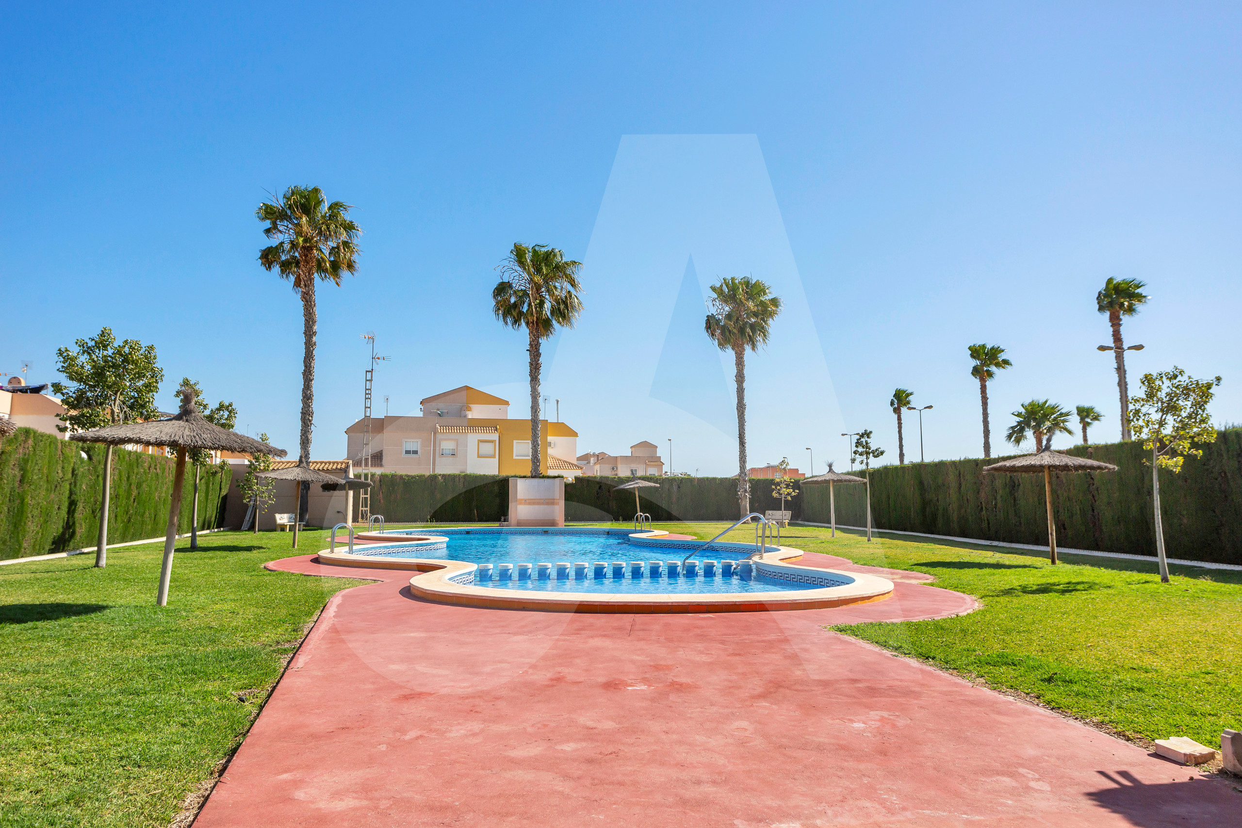 Gedeeld zwembad omringd door palmbomen