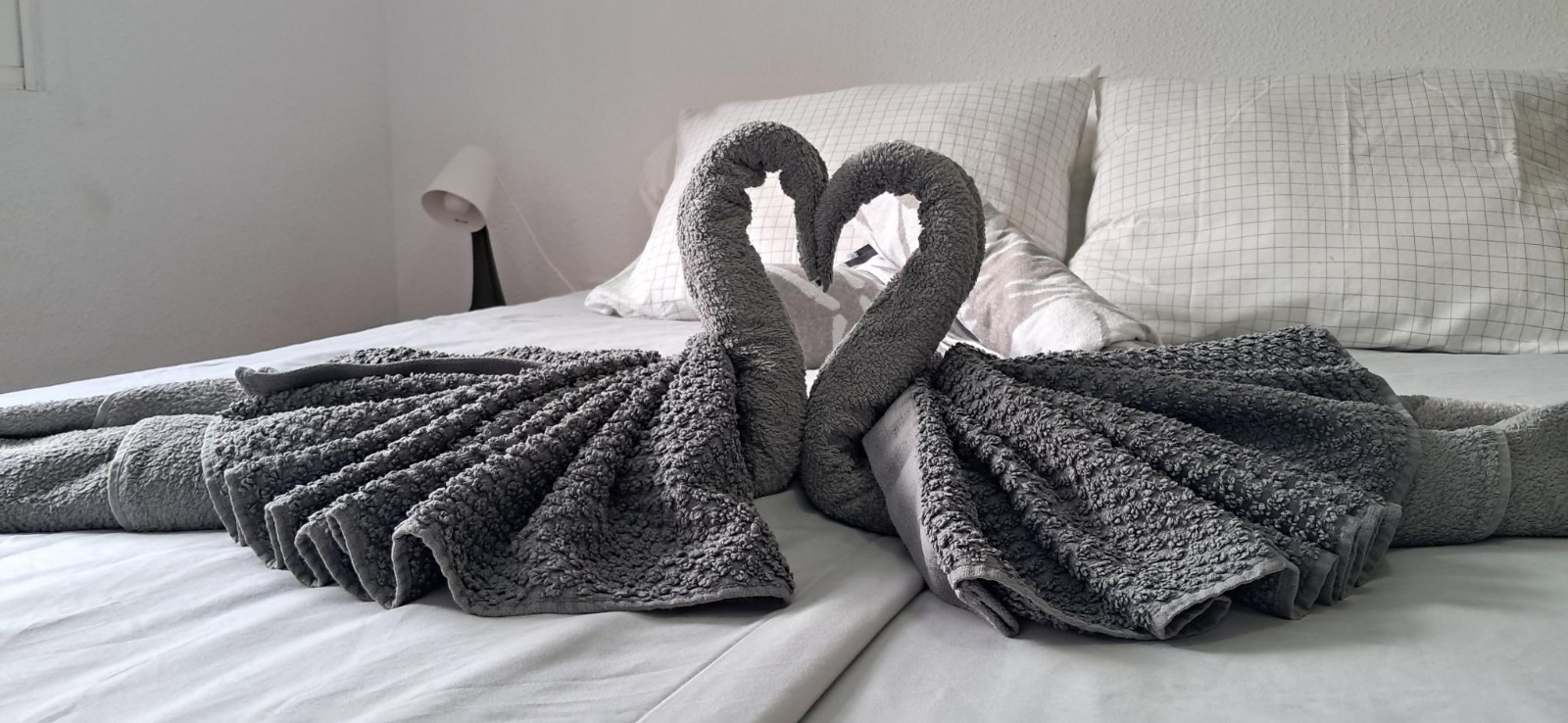 Gedeeld zwembad omringd door palmbomen